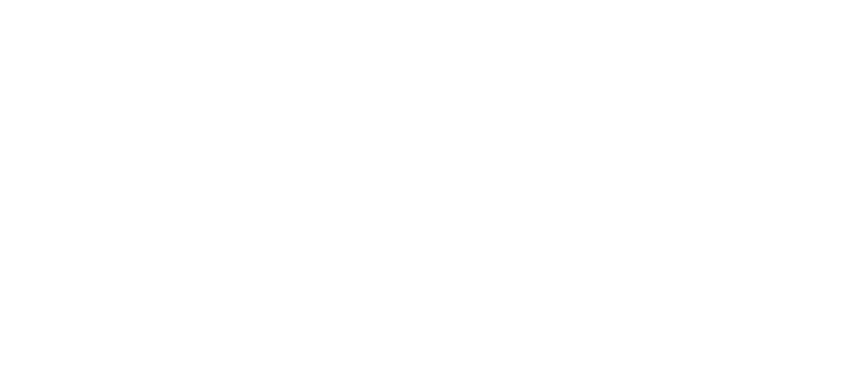 Second REBORN